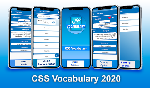 CSS Vocabulary- Pro Guide 7