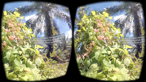VR Palm Oil Screen 3