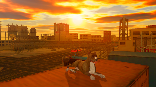 Pitbull Dog Simulator 1.0.4 screenshots 3