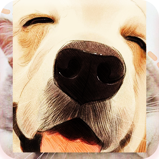 wallpaper anjing sangar logo