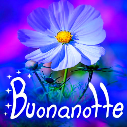 Buongiorno e Buonanote imagini logo