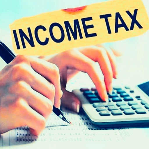 Income Tax Calculator App