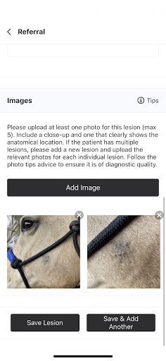 Equine Medical Solutions Screen 3