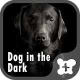 Wallpaper-Dog in the Dark- icon
