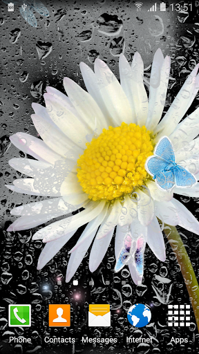 Daisies Flowers Live Wallpaper Screen 3