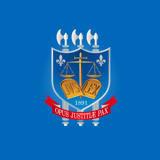 Consulta Processual - TJPB logo