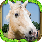 Cover Image of Скачать Wild Horse Simulator  APK