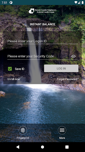 Hawaii County Emp FCU Screen 2