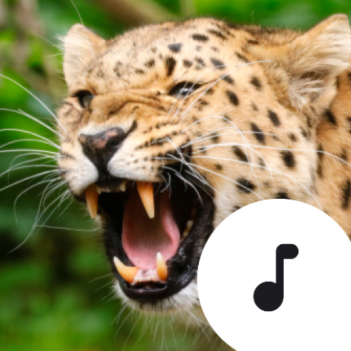 Big Cat Sounds logo