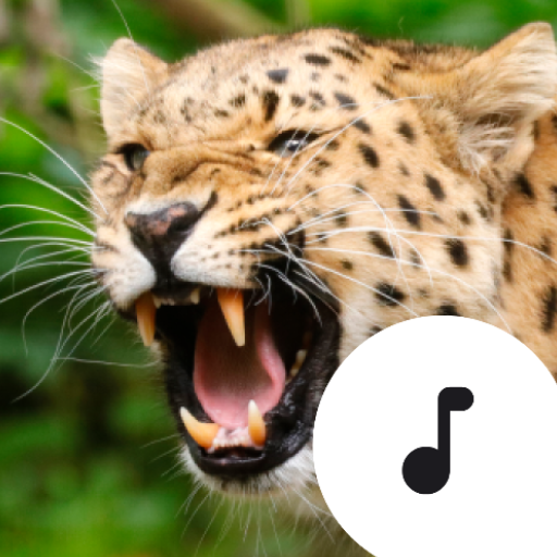 Big Cat Sounds