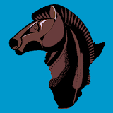 Chess Africa icon