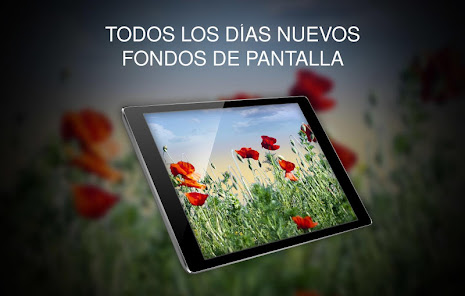 Captura de Pantalla 15 Fondos Primavera android
