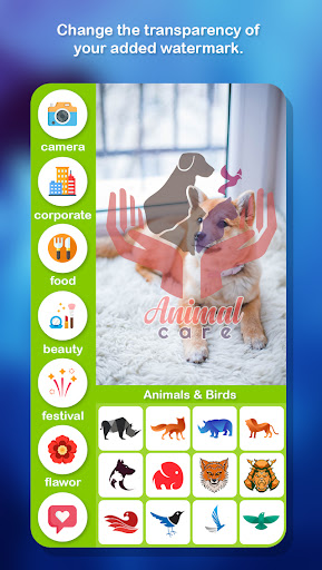 Add Watermark and Remove