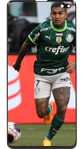 Palmeiras Wallpapers
