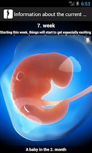 Pregnancy watcher widget  Screenshots 2