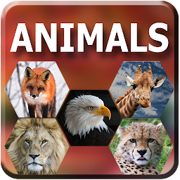 Icon image Animal wallpapers