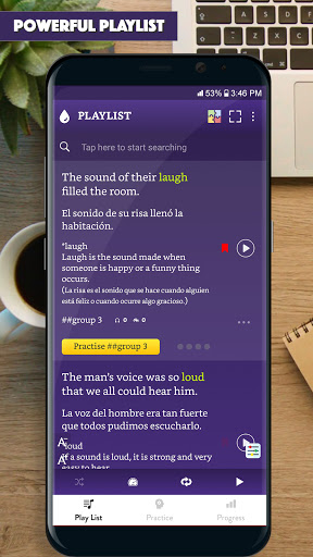 Vista previa de la aplicación