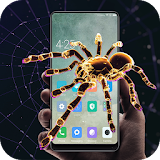 Spider in phone prank icon