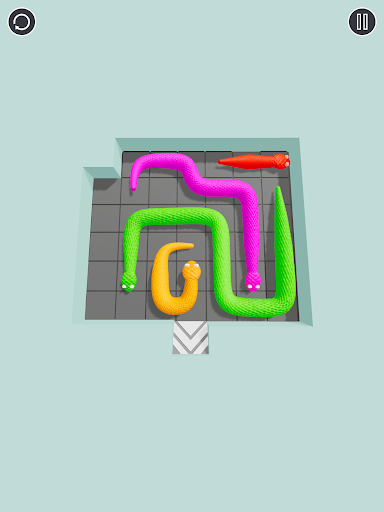 Untie Tangled Snakes