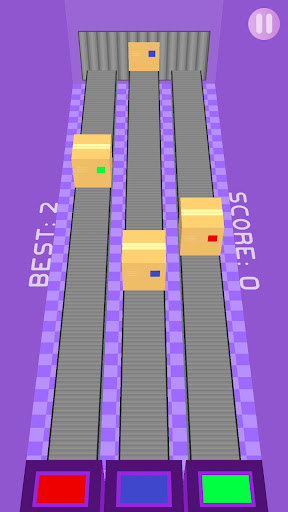 Purple Wall Box - 2023