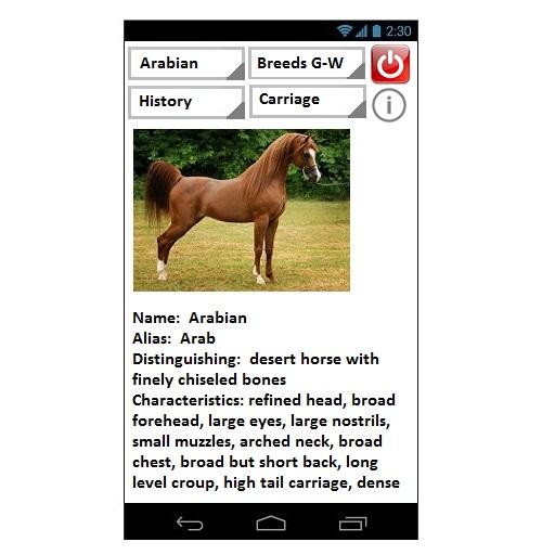 Horses Recount Screen 2