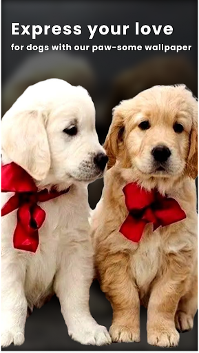 Android application Cute Dog Love HD Wallpaper screenshort
