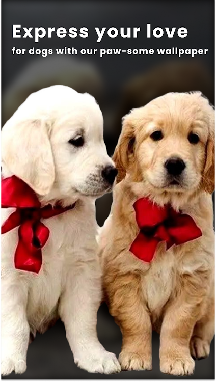 Cute Dog Love HD Wallpaper - 30 - (Android)