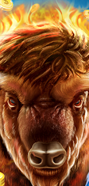 #3. Buffalo Wild (Android) By: Ebox Solutions