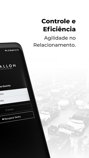 AVALLON BLINDAGENS Screen 2