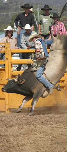 Android application Rodeo Wallpapers 2023 HD 4K screenshort
