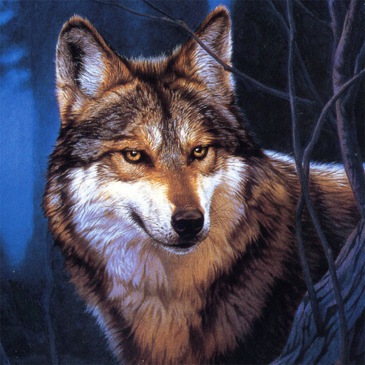 Wolf Jigsaw Puzzles 2.11.02 Icon