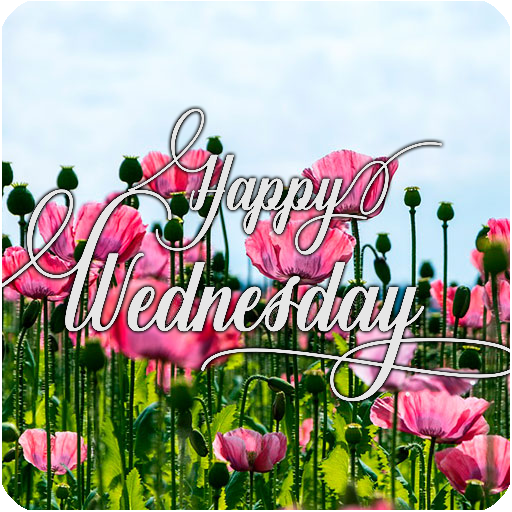 SMILE, ITS A GREAT WEDNESDAY logo