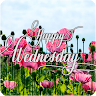 Happy Wednesday