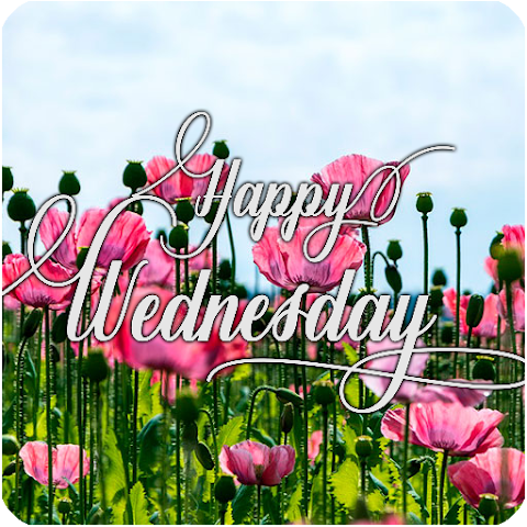 Imágen 1 SMILE, IT'S A GREAT WEDNESDAY android