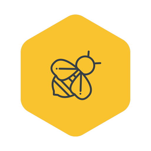Bumblebee 6.1.43 Icon