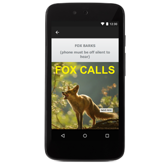 Predator Calls -Fox Hunting UK