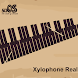 Xylophone Real: 2 mallet types - Androidアプリ