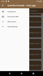 Quail Bird Sounds ~ Sclip.app