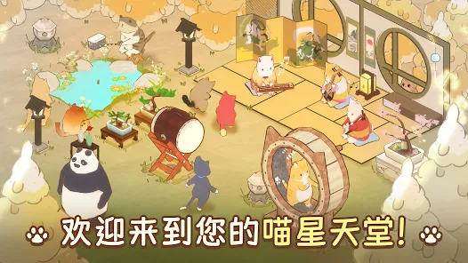 屏幕截图图片