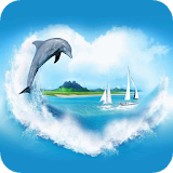 Hearty dolphin Live WP icon