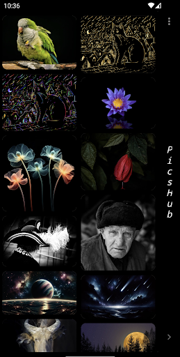 Android application PicsHub screenshort