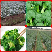 Top 14 Books & Reference Apps Like broccoli cultivation - Best Alternatives