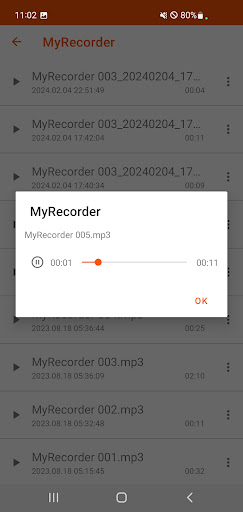 My Recorder Screen 3