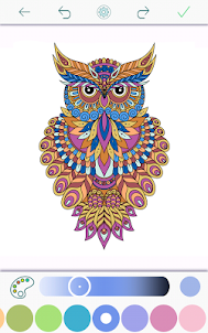 Owl Coloring Book - Pages