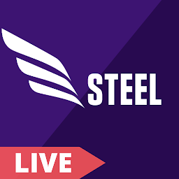 Steel Menu: Steel, Scrap Price: Download & Review