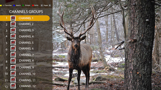 Elk Player Screen 2