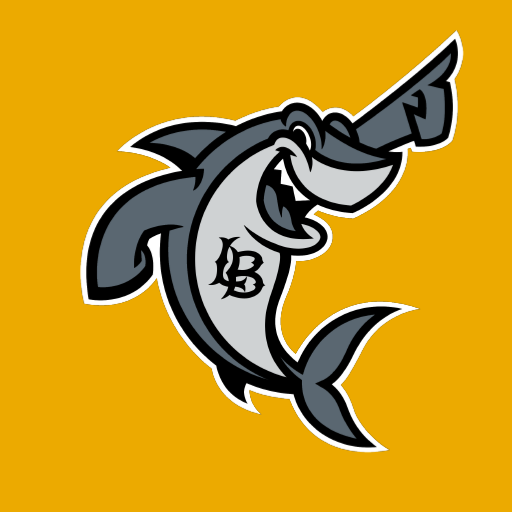 BeachGO Logo