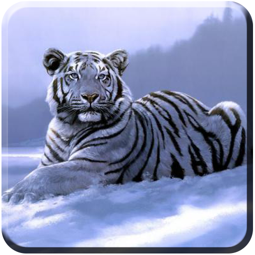 Tiger Wallpapers HD logo