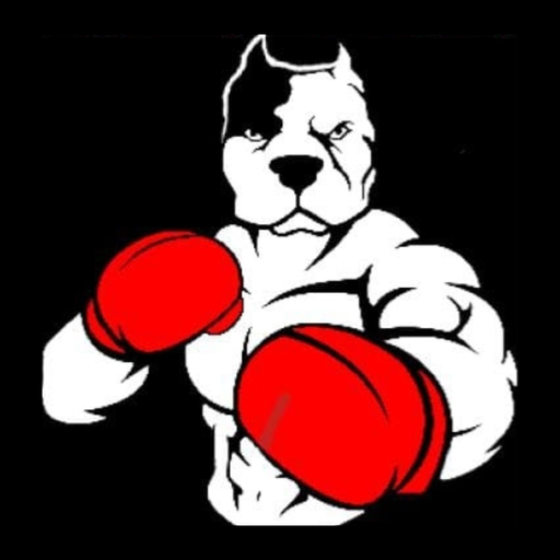 Dog Fight CC Install on Windows