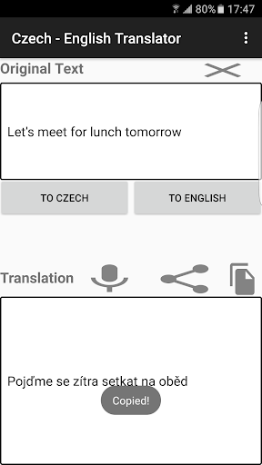 Czech - English Translator Screen 3